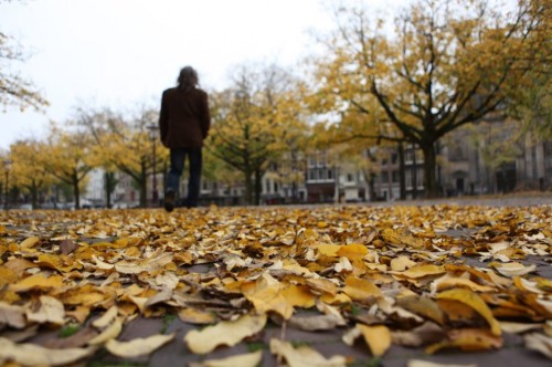 Outono na Holanda - ©Bailandesa
